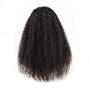 Kinky Curly Wig With Bangs | BGMGirl