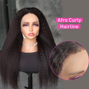4C Curly Hairline Kinky Straight HD Lace Front Wig | BGM Hair